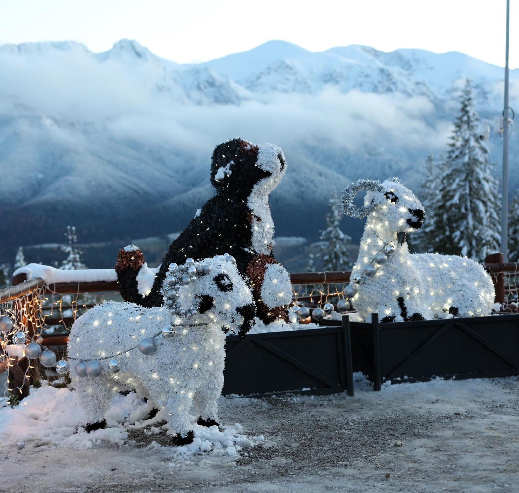 Willa Wygrodzisko Zakopane Dış mekan fotoğraf