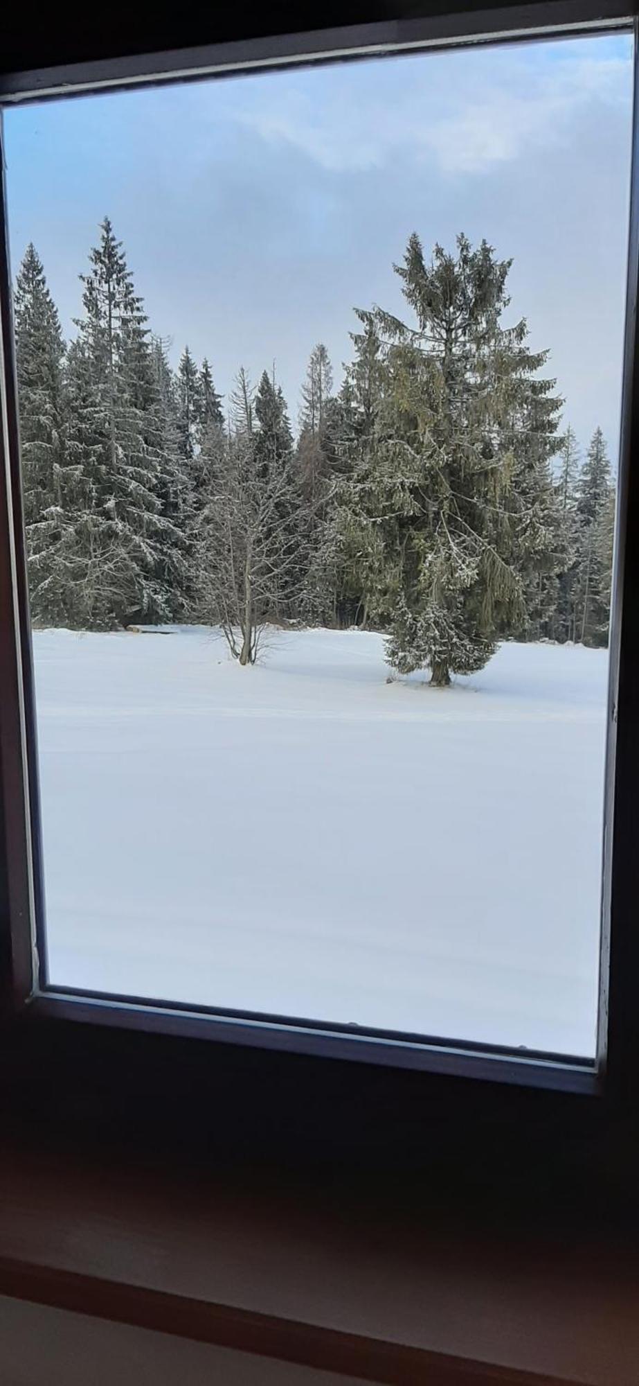 Willa Wygrodzisko Zakopane Dış mekan fotoğraf